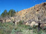 Cantera de Ofitas.  Castellón