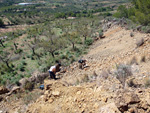   Cantera de Ofitas Altura. Castellón