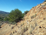   Cantera de Ofitas Altura. Castellón