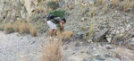  CANTERA DEL ORIOLET Y MINA DE CINABRIO. Orihuela