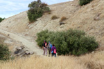 Cantera Minerama - Cerro Moreno - Puentetablas - Jaén