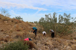 Cantera Minerama - Cerro Moreno - Puentetablas - Jaén