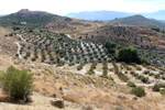   Cantera Minerama - Cerro Moreno - Puentetablas - Jaén