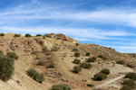   Cantera Minerama - Cerro Moreno - Puentetablas - Jaén