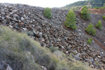 Collado La Mina. Llano del Beal, Cartagena, Murcia 