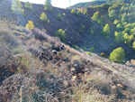 Collado La Mina. Llano del Beal, Cartagena, Murcia 