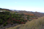 Collado La Mina. Llano del Beal, Cartagena, Murcia 