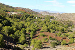   Collado La Mina. Llano del Beal, Cartagena, Murcia 