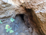 Collado La Mina. Llano del Beal, Cartagena, Murcia 