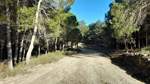 Afloramiento de Aragonito. Casas de Ves. Albacete 