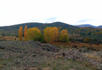 CERROS VOLCÁNICOS DE CAÑAMARES. GUADALAJARA 