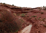 Goethitas de Tolderabano. GUADALAJARA  