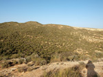  Rambla del Albardinar. La Almudema. Caravaca de la Cruz. Murcia