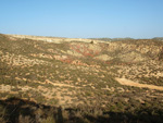  Rambla del Albardinar. La Almudema. Caravaca de la Cruz. Murcia