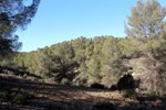  Paraje de la Jabalina. Cehegín. Murcia