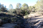  Paraje de la Jabalina. Cehegín. Murcia