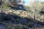 Paraje de la Jabalina. Cehegín. Murcia