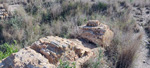  Mina Haití, Cabezo de San Ginés, San Ginés de la Jara, Cartagena,  Murcia