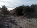 Cantera Casablanca. Lloma Alta, Les Boqueres, San Vicente del Raspeig, Alicante