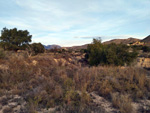  Cantera Casablanca. Lloma Alta, Les Boqueres, San Vicente del Raspeig, Alicante 