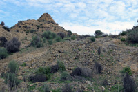 Cabezo Negro de Zeneta. Murcia