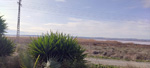 Salinas de Torrevieja. Alicante