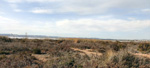  Salinas de Torrevieja. Alicante 