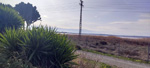 Salinas de Torrevieja. Alicante