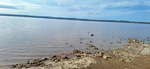  Salinas de Torrevieja. Alicante