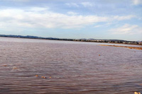 Salinas de Torrevieja. Alicante