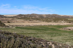 Rambla del Albardinar. La Almudema. Caravaca de ka cruz