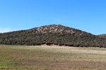  Rambla del Albardinar. La Almudema. Caravaca de ka cruz 