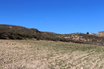  Rambla del Albardinar. La Almudema. Caravaca de ka cruz 