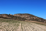  Rambla del Albardinar. La Almudema. Caravaca de ka cruz 