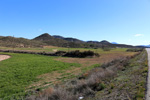  Rambla del Albardinar. La Almudema. Caravaca de ka cruz