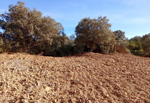 Minas del general y la petaca en Ciudad real.