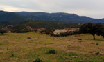 Minas del general y la petaca en Ciudad real.