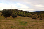 Minas del general y la petaca en Ciudad real.