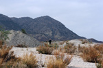 Cantera Alabastre. Cañada del Fenollar. Alicante