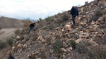  Cantera Alabastre. Cañada del Fenollar. Alicante