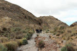  Cantera Alabastre. Cañada del Fenollar. Alicante