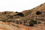 Cantera Alabastre. Cañada del Fenollar. Alicante