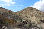 Cantera Alabastre. Cañada del Fenollar. Alicante