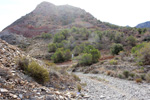 Cantera Alabastre. Cañada del Fenollar. Alicante