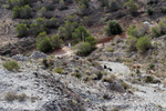  Cantera Alabastre. Cañada del Fenollar. Alicante 