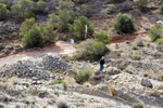  Cantera Alabastre. Cañada del Fenollar. Alicante 