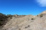  Cantera Alabastre. Cañada del Fenollar. Alicante 