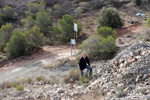 Cantera Alabastre. Cañada del Fenollar. Alicante