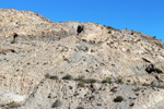  Cantera Alabastre. Cañada del Fenollar. Alicante