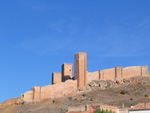 Pardos Guadalajara y Ojos Negros Teruel